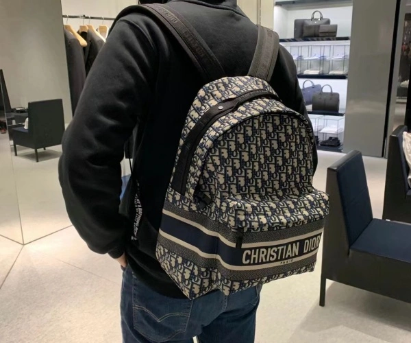dior迪奥中国官网入口查真伪(迪奥中国官网真假鉴别方法)